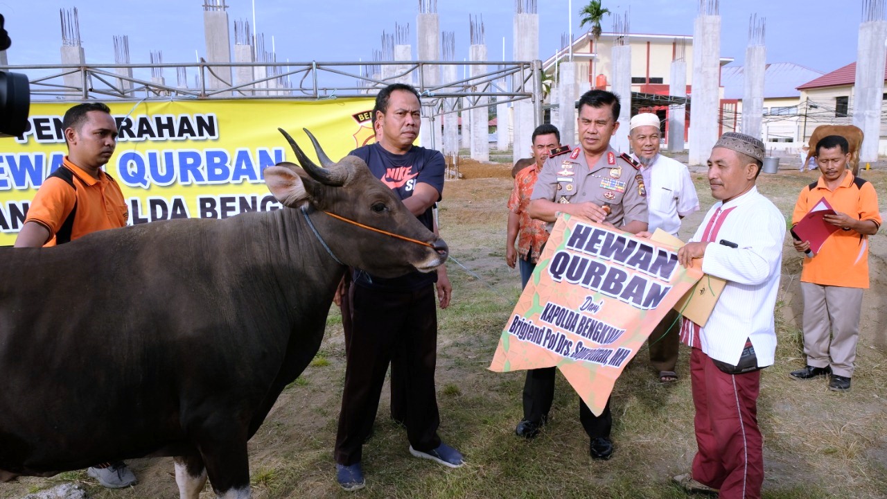 Kapolda Bengkulu Sumbang 11 Ekor Hewan Kurban