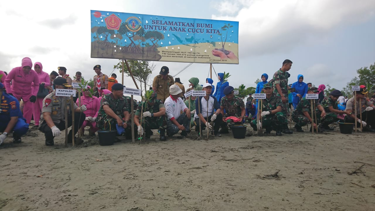 Pecahkan Rekor Muri, Lanal Bengkulu Tanam 4500 Pohon Mangrove