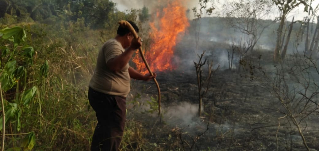 Lahan Seluas 2 Hektare Terbakar