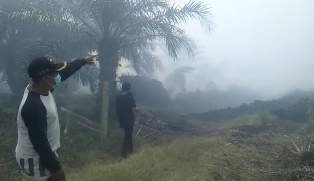 Kebakaran Lahan Gambut di Pekik Nyaring Meluas, Sudah 30 Hektar