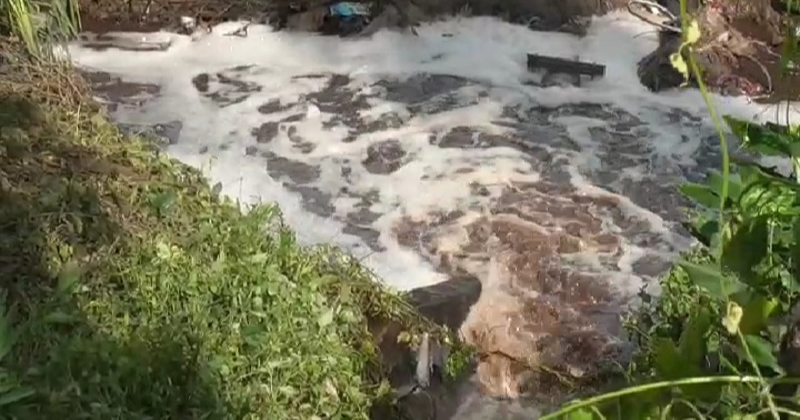 Diduga Limbah PT Agri Andalas Mengalir ke Sungai Sindur