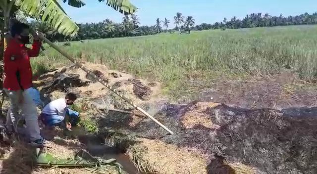 Cegah Kebakaran Hutan dan Lahan, Polres Benteng Gencar Cari Titik Api