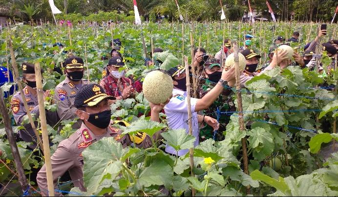 Tingkatkan Ketahanan Pangan, Kampung Tangguh Nusantara Dibentuk