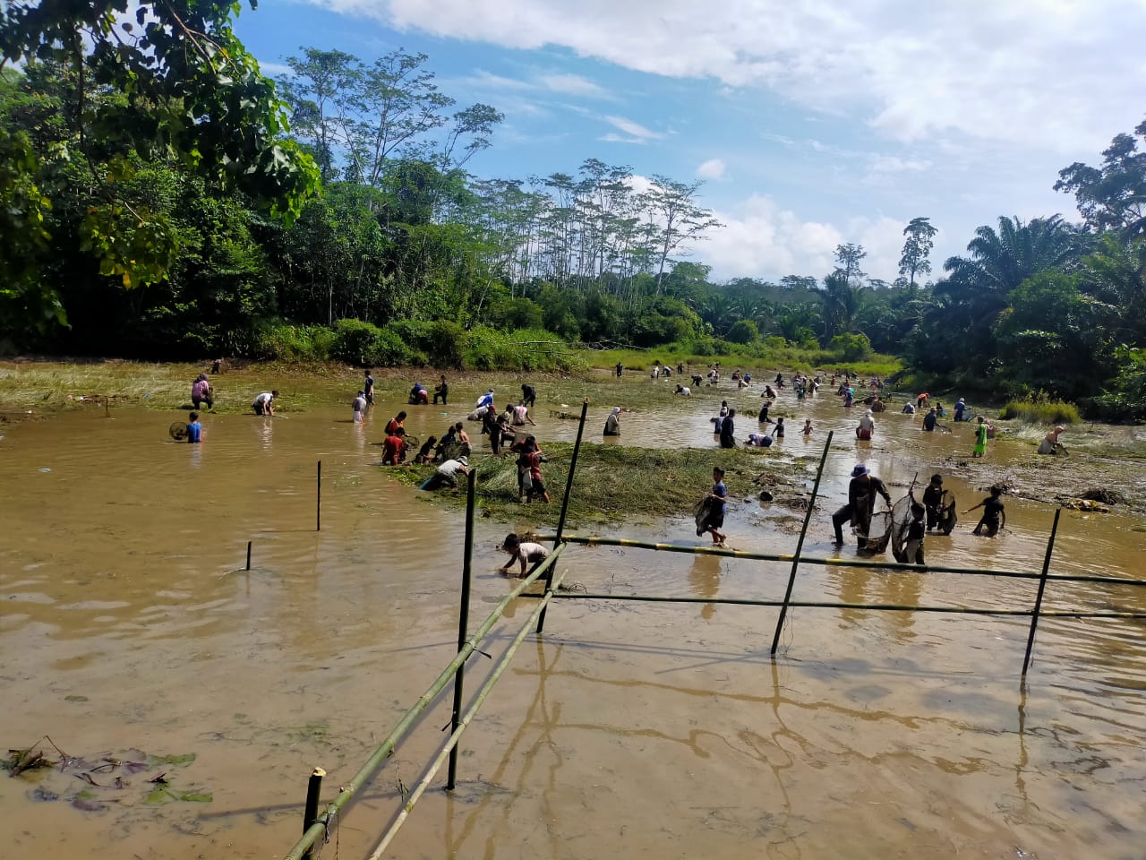 Puluhan Warga Desa Lunjuk ‘Nangguk’ Ikan di Rawa