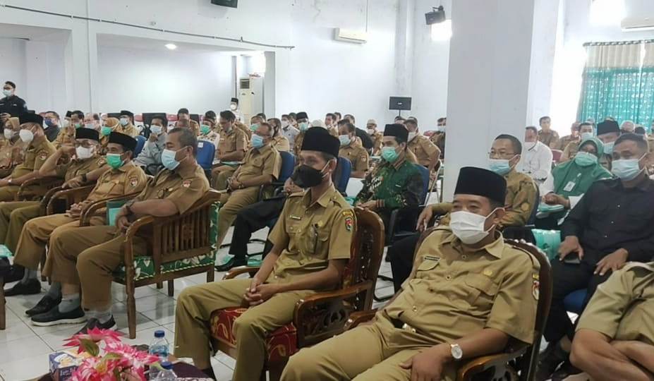 Isi Kekosongan, Sapuan Tunjuk 13 PLT