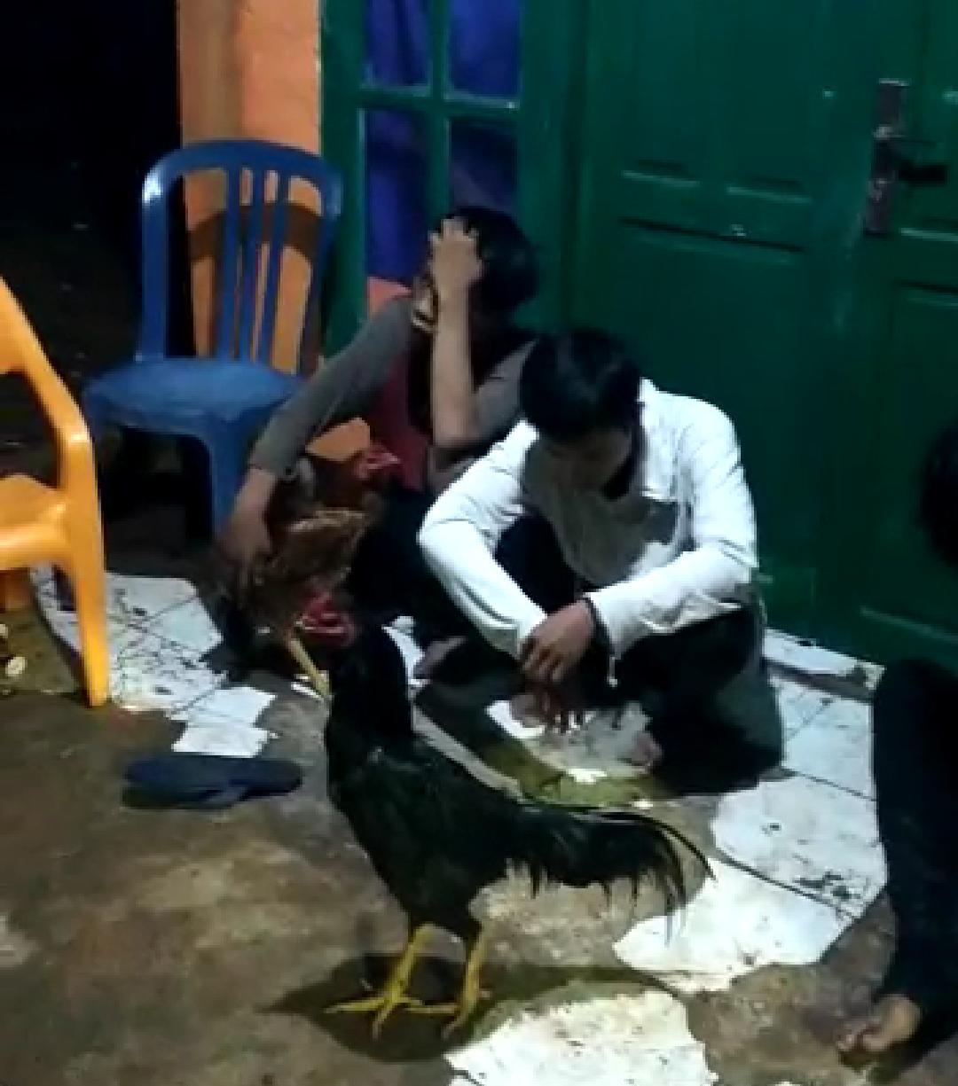 Curi Ayam, 4 ABG Nyaris Dihajar Massa