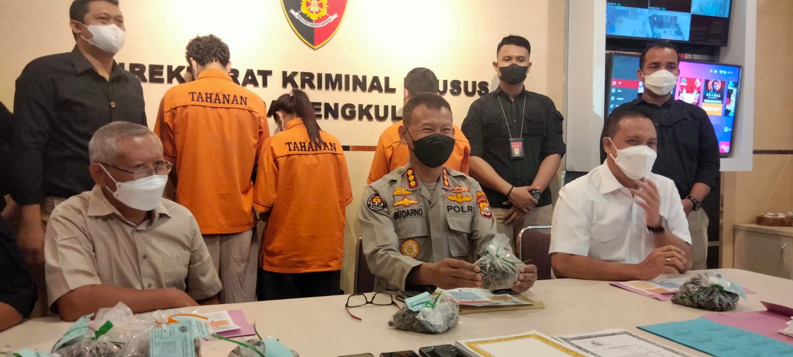 73 Ribu Bibit Sawit Palsu Beredar di Seluma