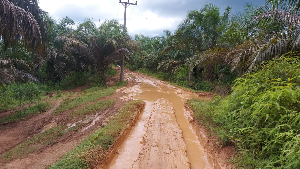 Jalan Menuju Desa Tanjung Raman Rusak Parah 