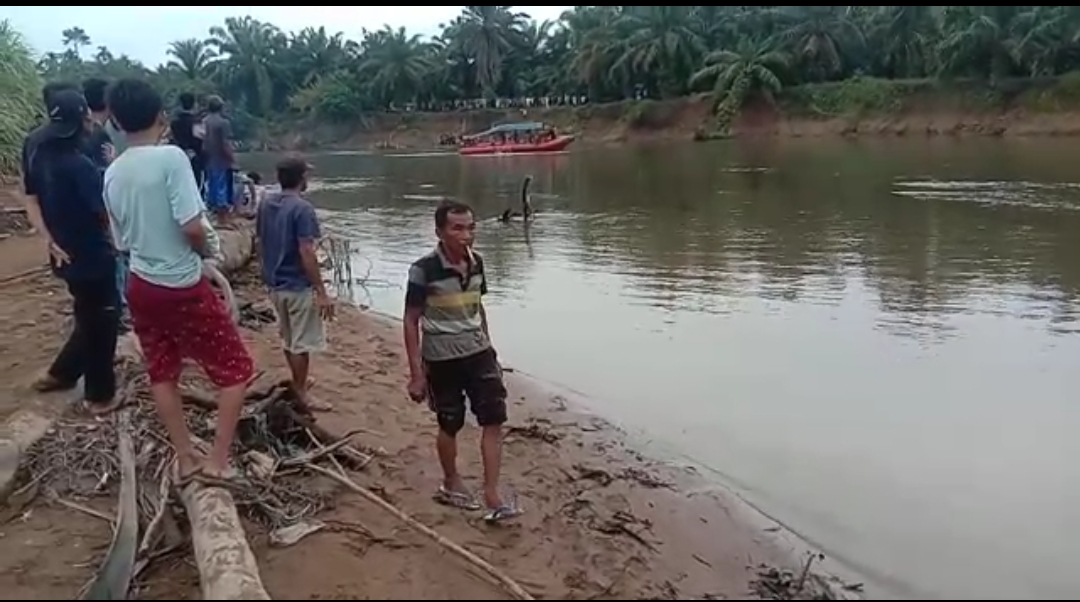 Korban Diterkam Buaya Berhasil Ditemukan