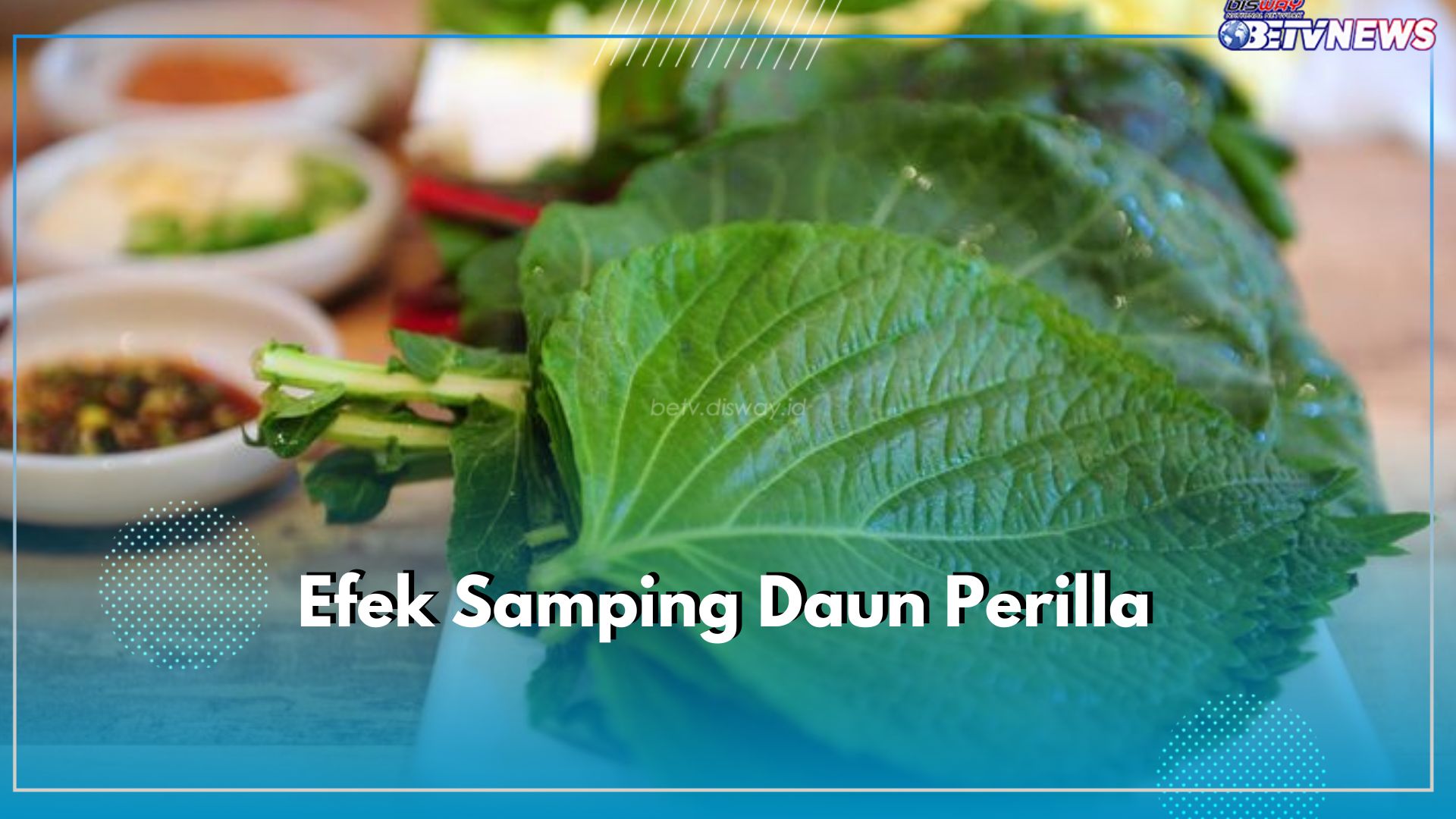 Memicu Reaksi Alergi, Kenali 6 Efek Samping Daun Perilla Ketika Dikonsumsi Secara BerlebiHan