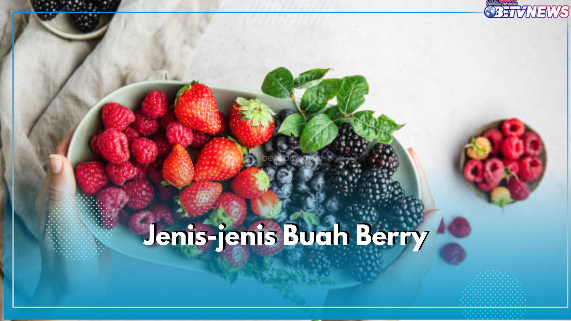 10 Jenis Buah Berry Paling Populer Di Dunia, yang Mana Favoritmu?