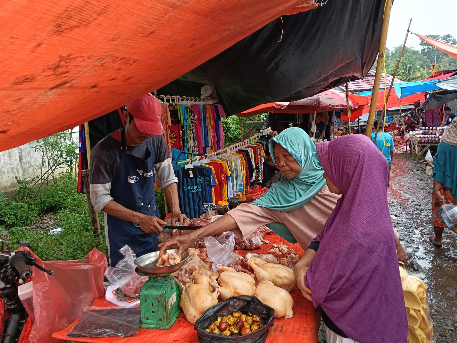 Harga Ayam Kian Melonjak, Tembus Rp45.000 per Kg, Diduga Dampak Program MBG