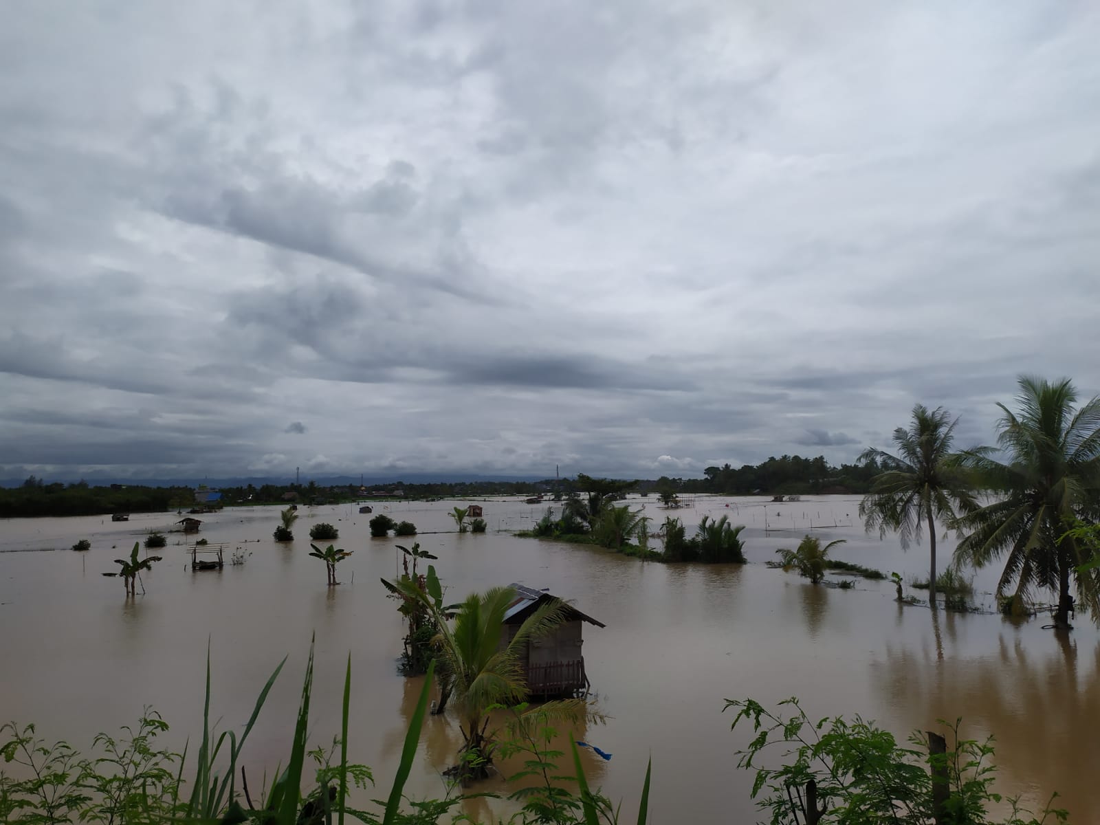 Curahan Hati Petani yang Lahan Persawahan Terendam Banjir: ‘Kami Pasrah dan Berdoa’