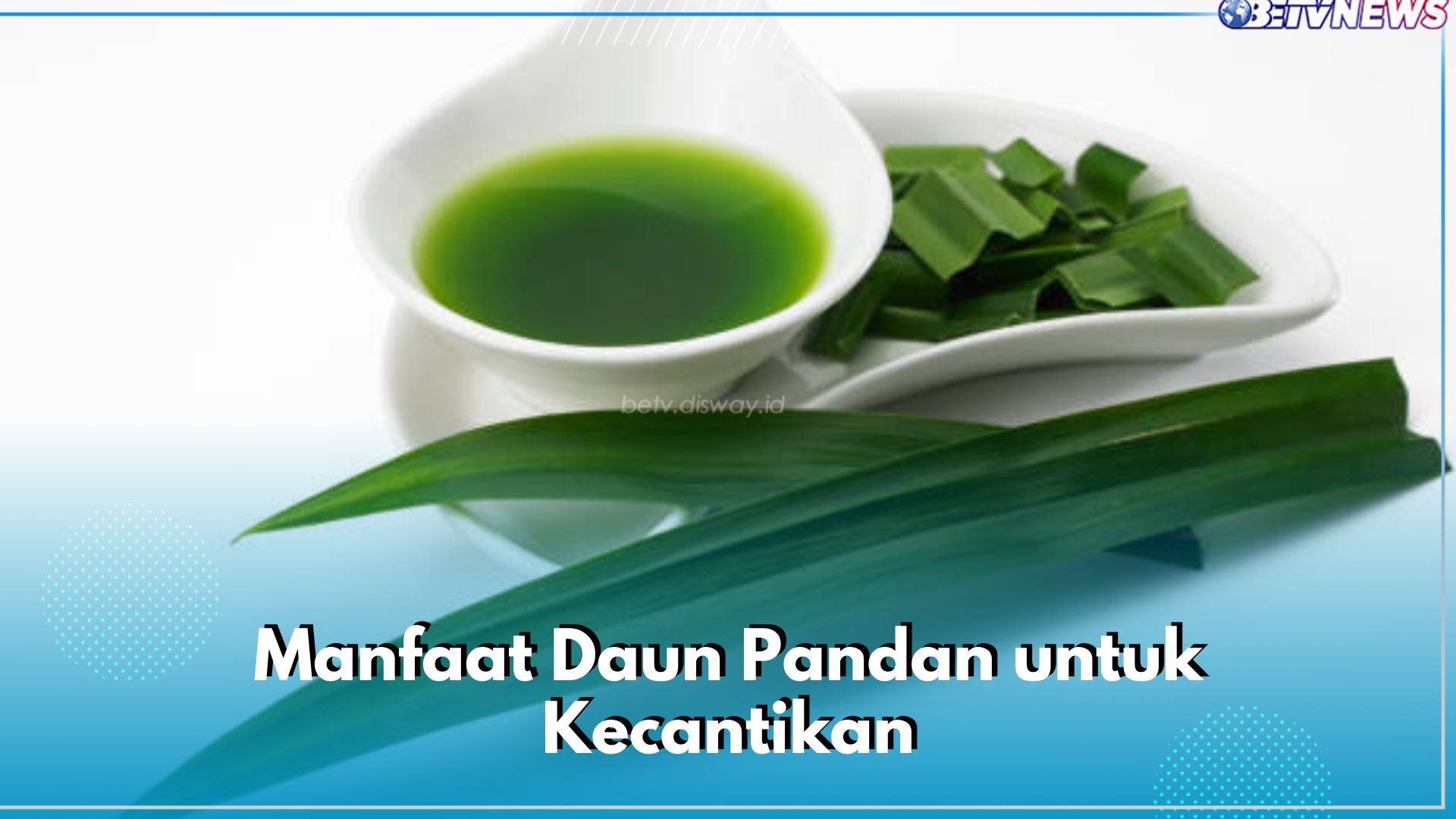 Cerahkan Kulit hingga Hilangkan Bau Badan, Ini Sederet Manfaat Daun Pandan untuk Kecantikan