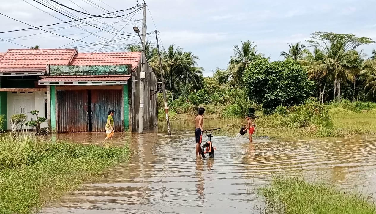 Diguyur Hujan Berjam-jam, 24 Titik di Kota Bengkulu Terendam Banjir