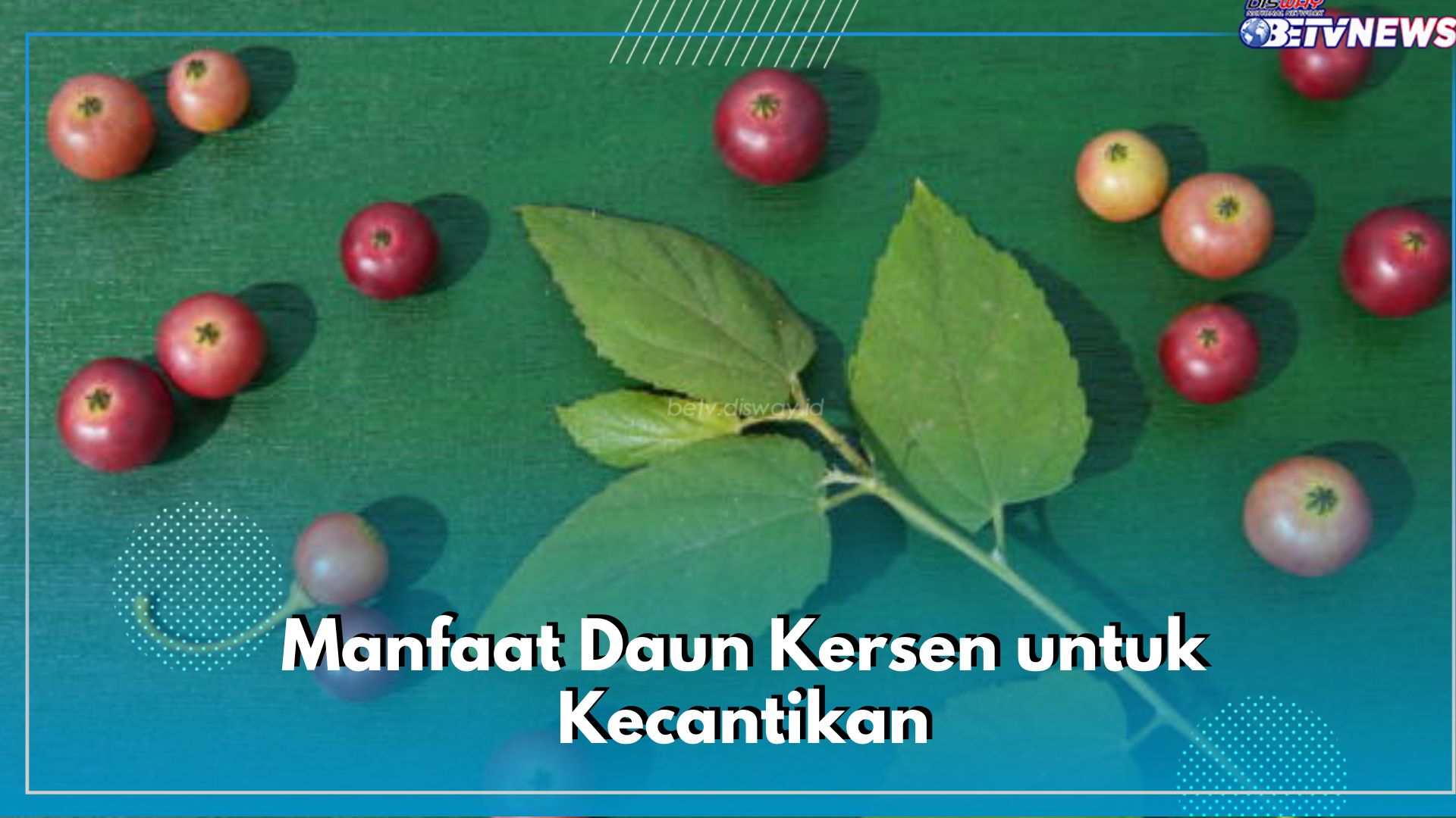 Cegah Penuaan Dini hingga Samarkan Bekas Luka, Ini Sederet Manfaat Daun Kersen untuk Kecantikan