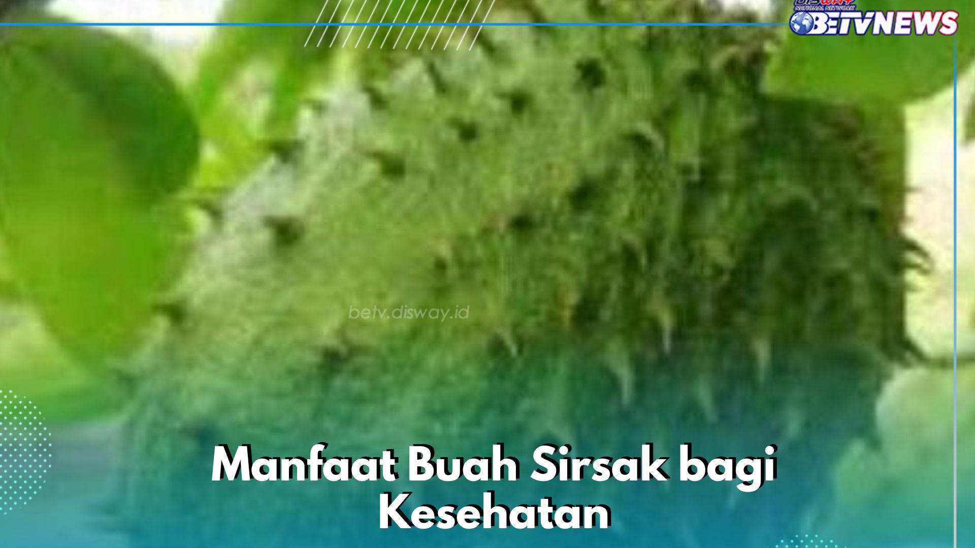 Cukup Konsumsi Buah Sirsak Ini, Punya Manfaat Bagus untuk Ibu Hamil, Cek di Sini