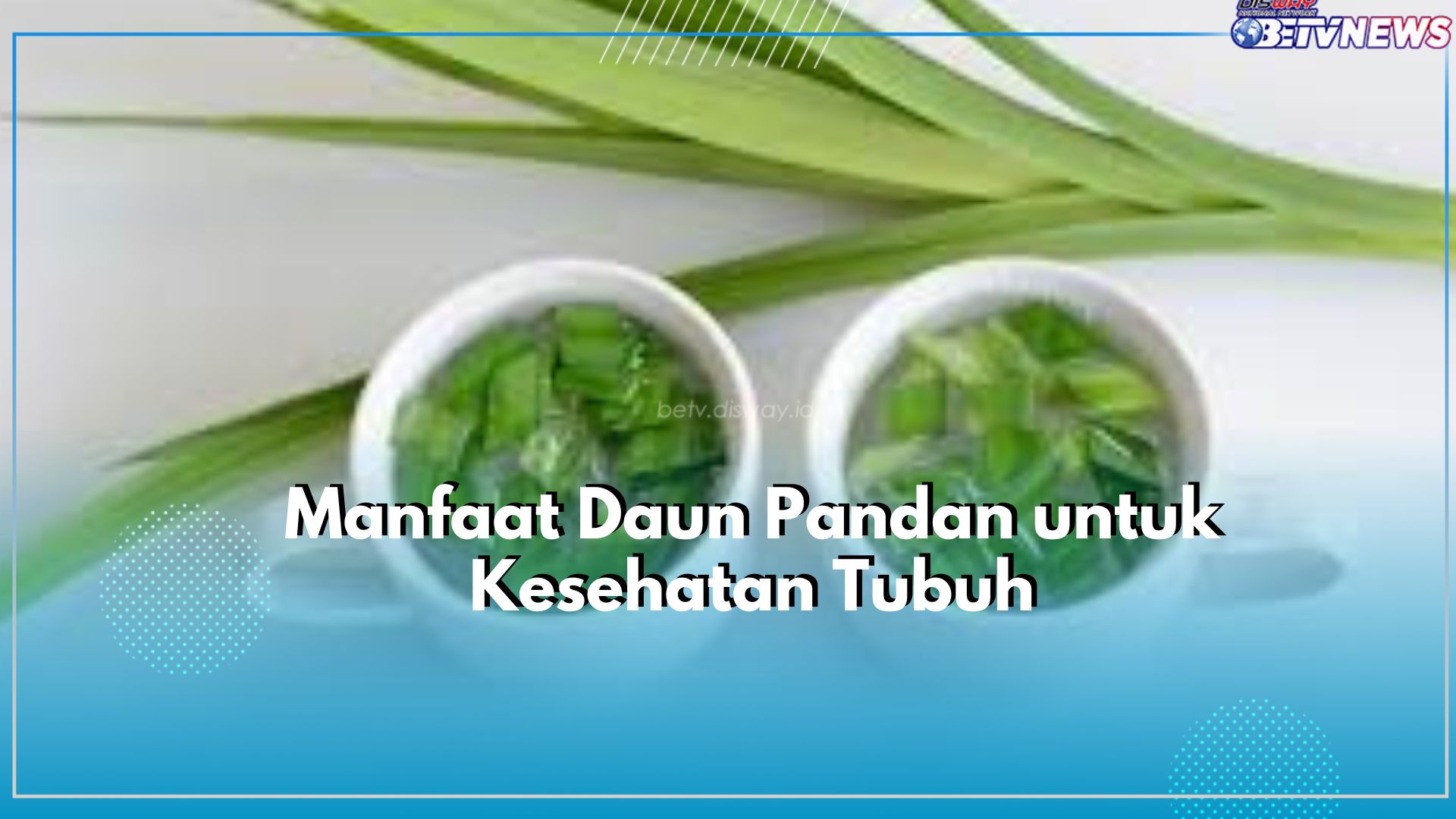 6 Manfaat Tak Terduga Daun Panda untuk Kesehatan, Cek Disini!