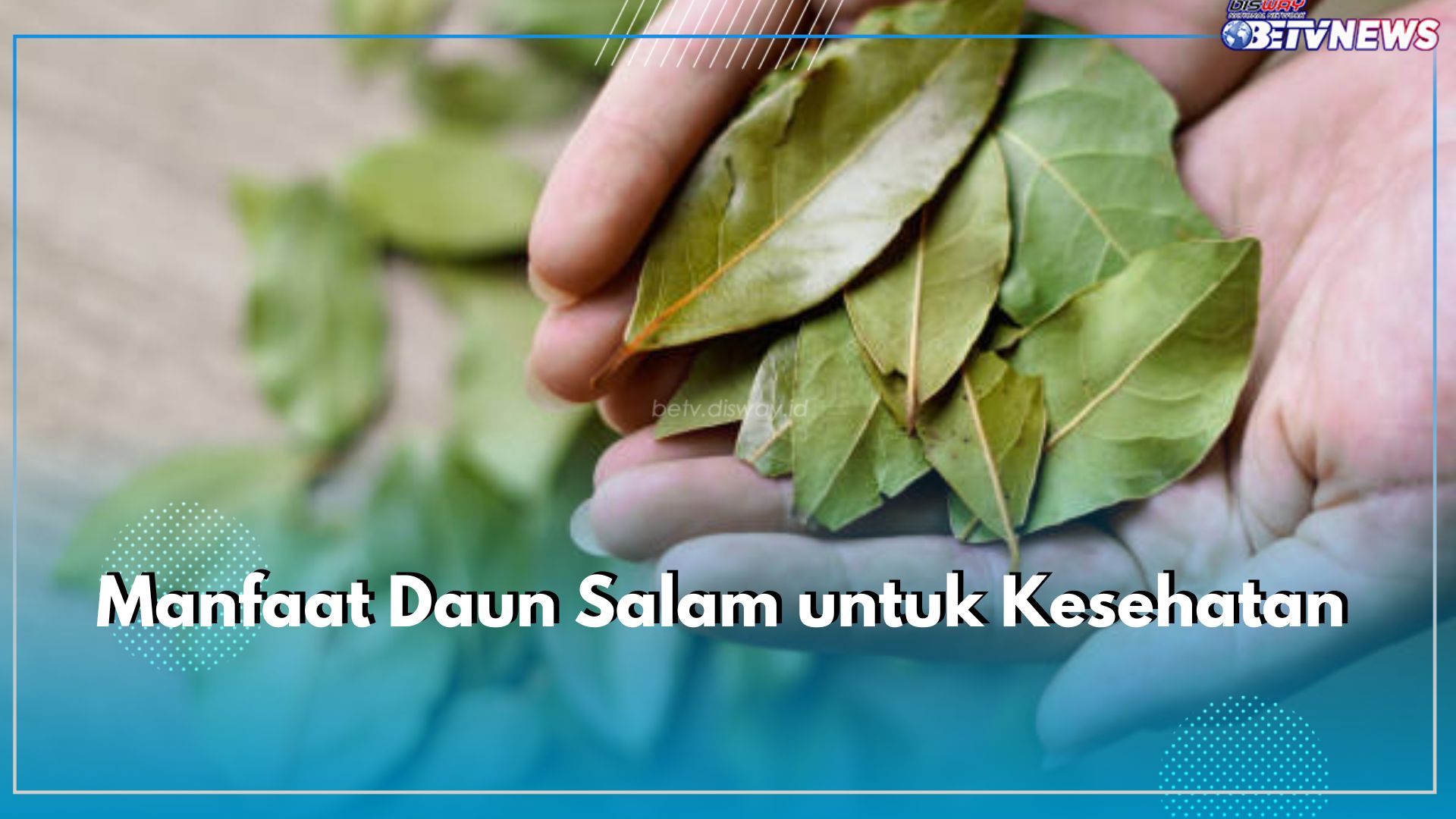 Ini 8 Manfaat Daun Salam untuk Kesehatan, Rempah Dapur dengan Segudang Khasiat, Ampuh Atasi Ragam Penyakit