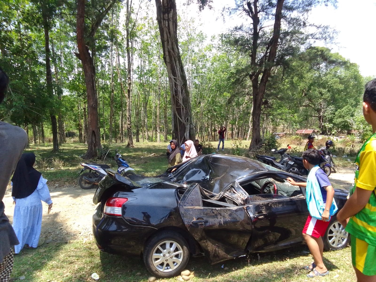 2 Mobil Ringsek Tertimpa Pohon Setinggi 15 Meter di Kawasan Dekat PTPN VII Padang Pelawi