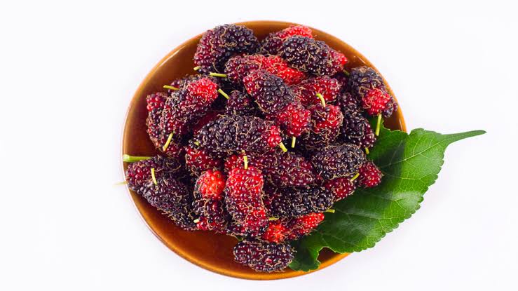 Bantu Menunjang Pertumbuhan, Ini 10 Manfaat Makan Buah Murbei untuk Kesehatan Anak