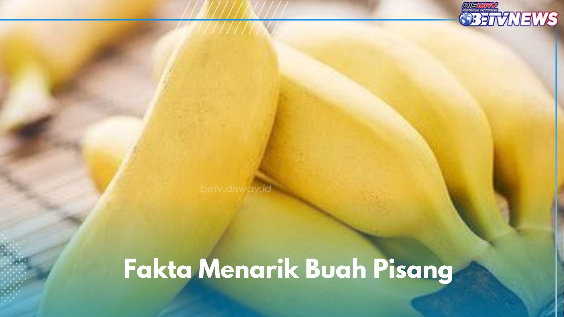 9 Fakta Menarik Buah Pisang yang Jarang Diketahui, Tidak Hanya Kaya Nutrisi