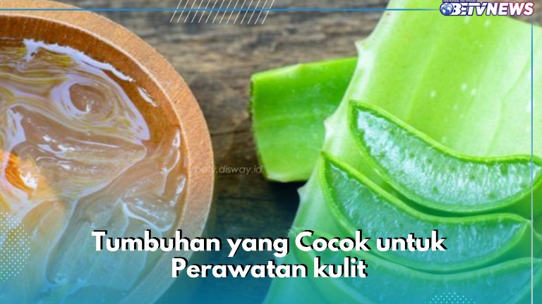 Tumbuhan Ini Baik untuk Perawatan Kulit Makin Sehat, Cek Rekomendasinya di Sini