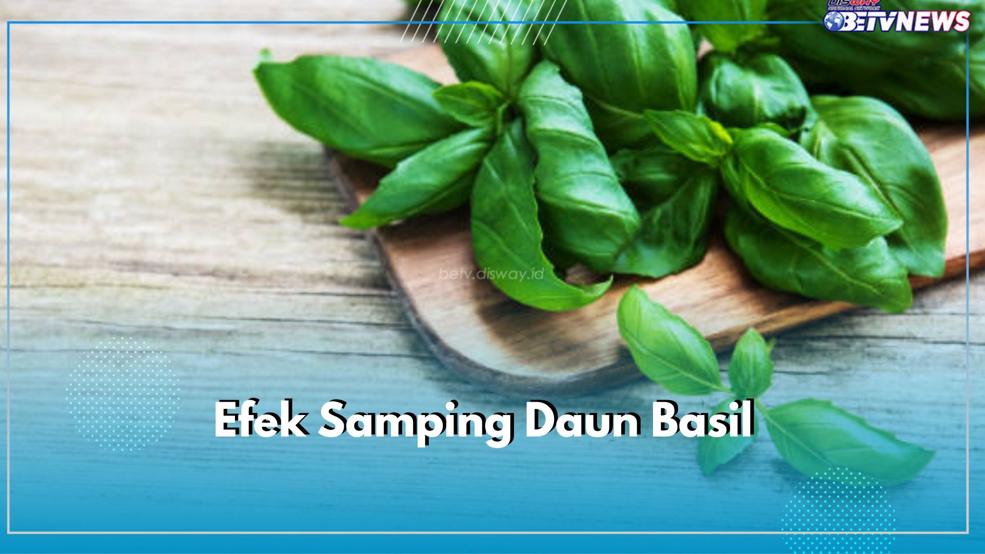 Tidak Boleh Dikonsumsi Secara Berlebihan, Ketahui Ragam Efek Samping Daun Basil Secara Medis