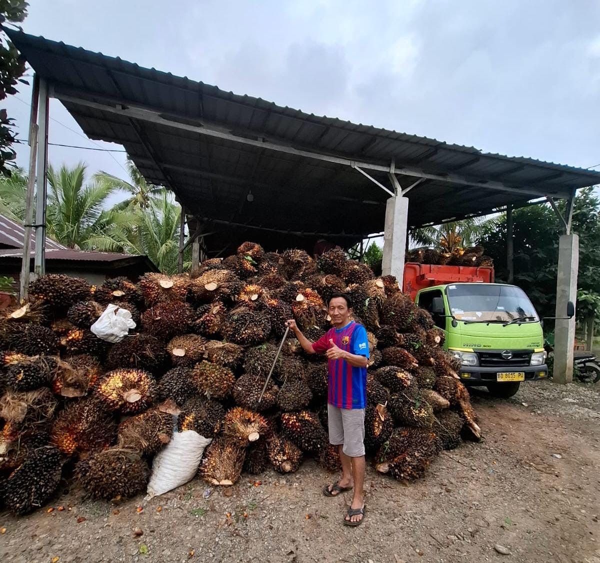 Dampak Pendangkalan Alur Pelabuhan Pulau Baai, Pabrik CPO di Seluma Batasi Pembelian TBS Sawit