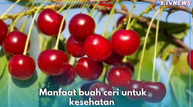 Benar-benar Efektif Kurangi Stres Oksidatif, Buah Ceri Simpan 6 Manfaat Ini untuk Kesehatan