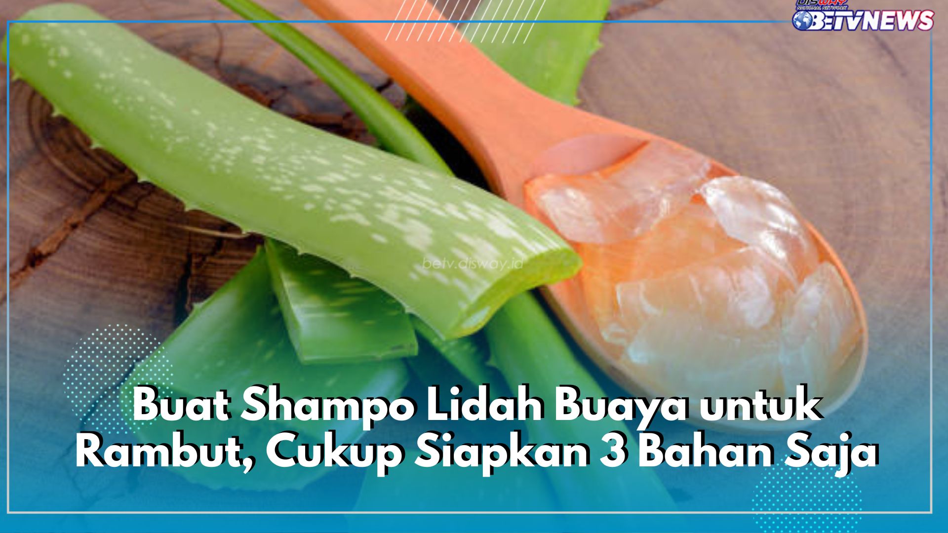 Yuk Buat Shampo Lidah Buaya untuk Rambut, Cukup Siapkan 3 Bahan Saja!