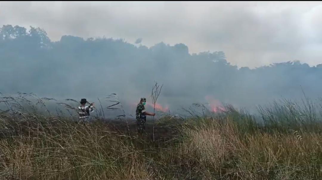 Kebakaran 200 Hektar Lahan Gambut di Enggano Bengkulu, Upaya Padamkan Api Masih Berlangsung 