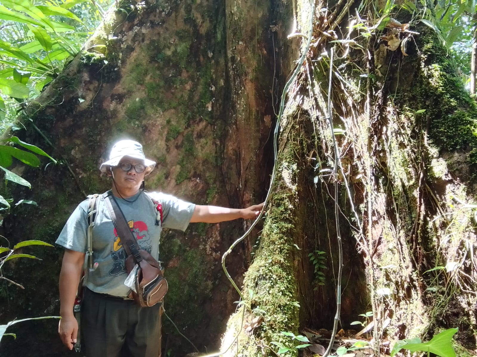 Rencana Tambang Emas di Bukit Sanggul Dikecam Aktivis dan Tokoh Masyarakat Seluma