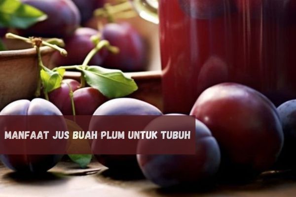 Jaga Gula Darah Tetap Seimbang, Inilah Sederet Manfaat Jus Buah Plum Untuk Tubuh, Khasiatnya Tidak Main-main