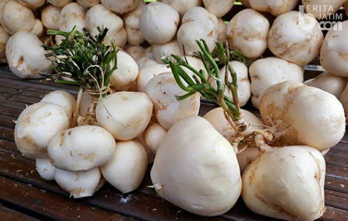 Rahasia Gula Darah Normal, Rutin Konsumsi Bengkoang, Dapatkan 8 Manfaat Lainnya di Sini