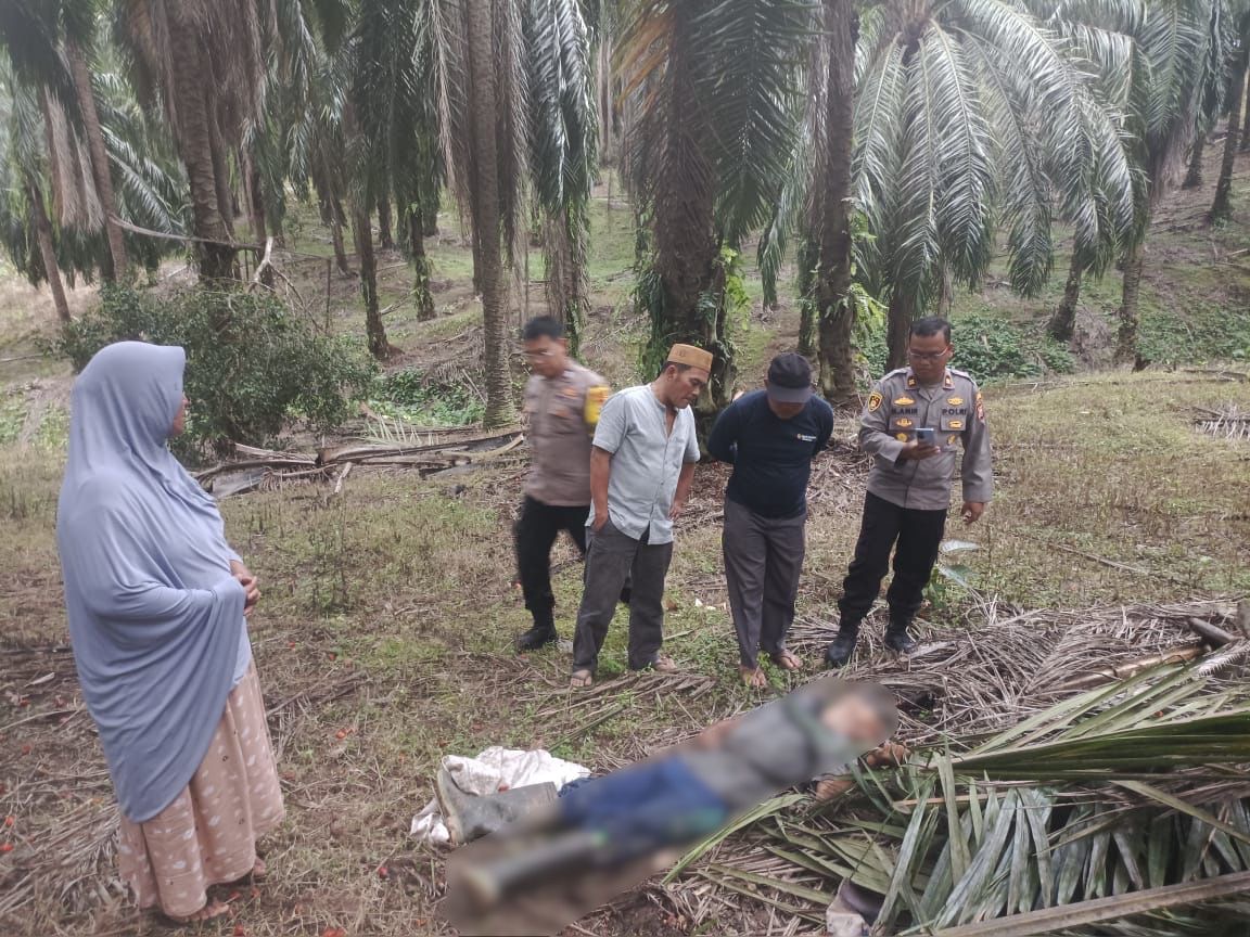 Diduga Terjatuh, Kakek di Bengkulu Selatan Tewas Saat Cari Brondol Sawit