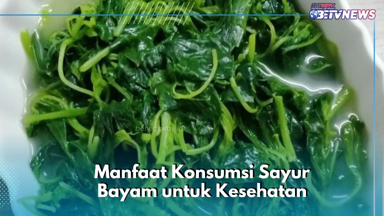 Sayur Bayam Ini Baik untuk Bumil, Cek Manfaat di Sini! Dipercaya Dapat Meningkatkan Imunitas Tubuh