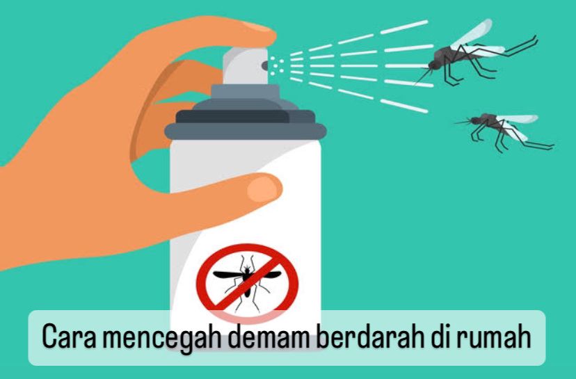 Hindari Gigitan Nyamuk hingga Jaga Kebersihan, Ini 6 Cara Cegah Demam Berdarah di Rumah