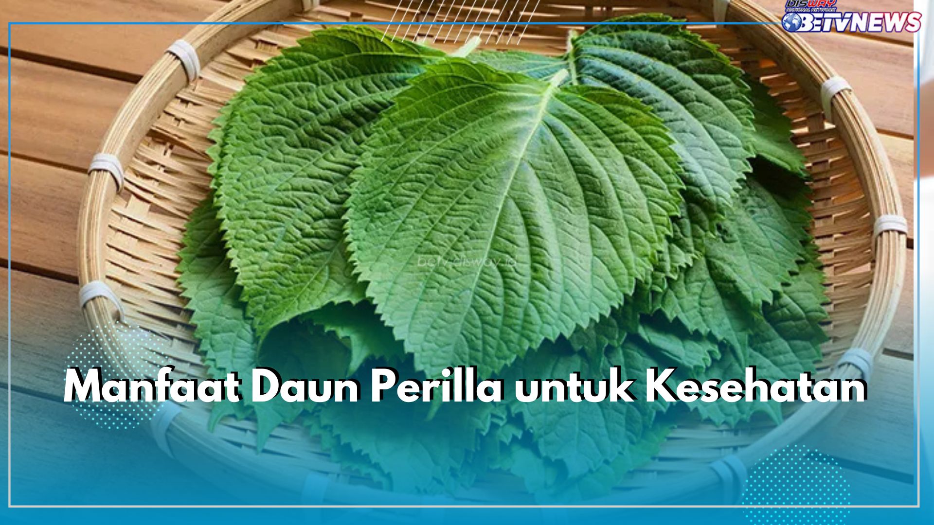 Ada di Setiap Masakan Korea, Ternyata Ini 8 Manfaat Daun Perilla untuk Kesehatan