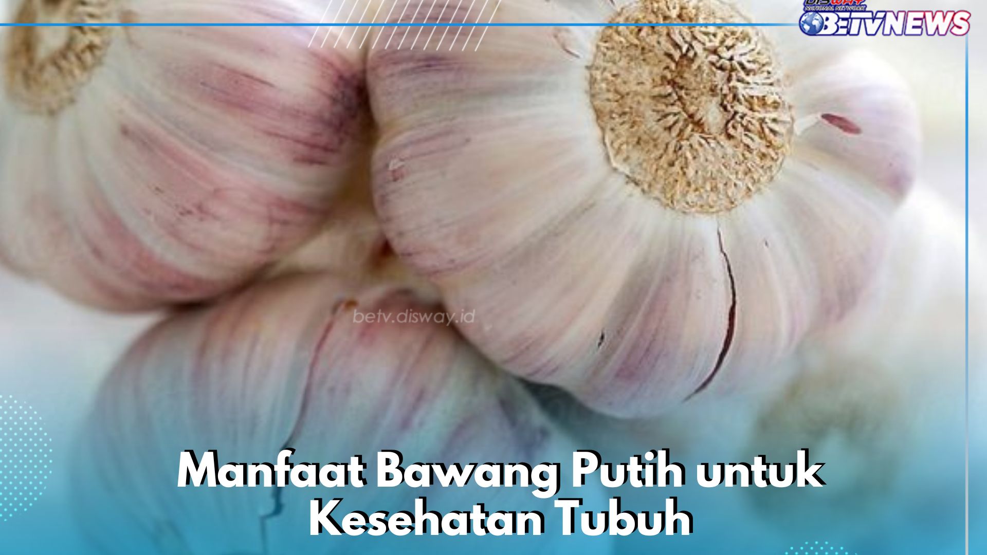 Manfaat Lain Konsumsi Bawang Putih bagi Kesehatan, Cek di Sini! Ampuh Mengontrol Kadar Gula Darah