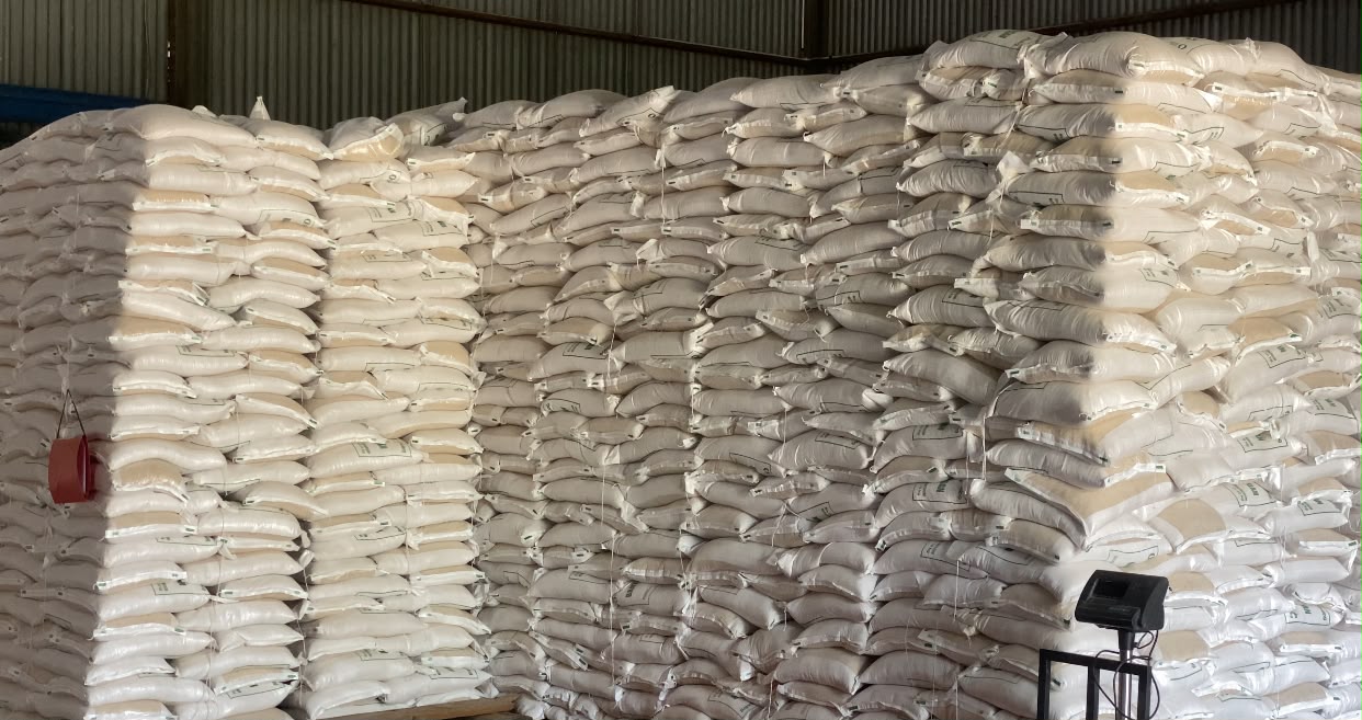 Stok Beras Bengkulu Selatan dan Kaur Aman, Bulog Siapkan 790 Ton