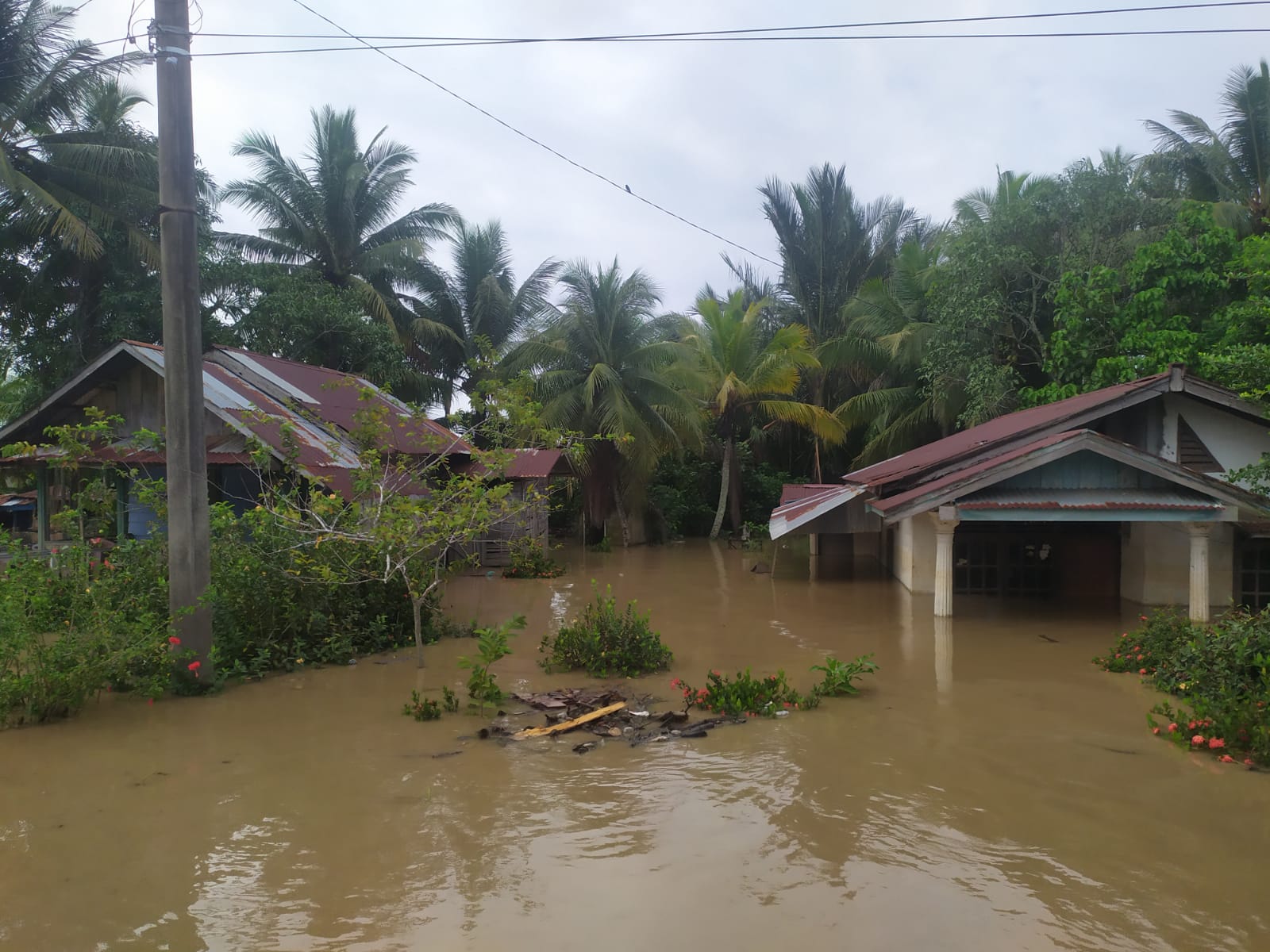 Dampak Hujan Deras, Wilayah Bantaran Sungai Bengkulu Kebanjiran 