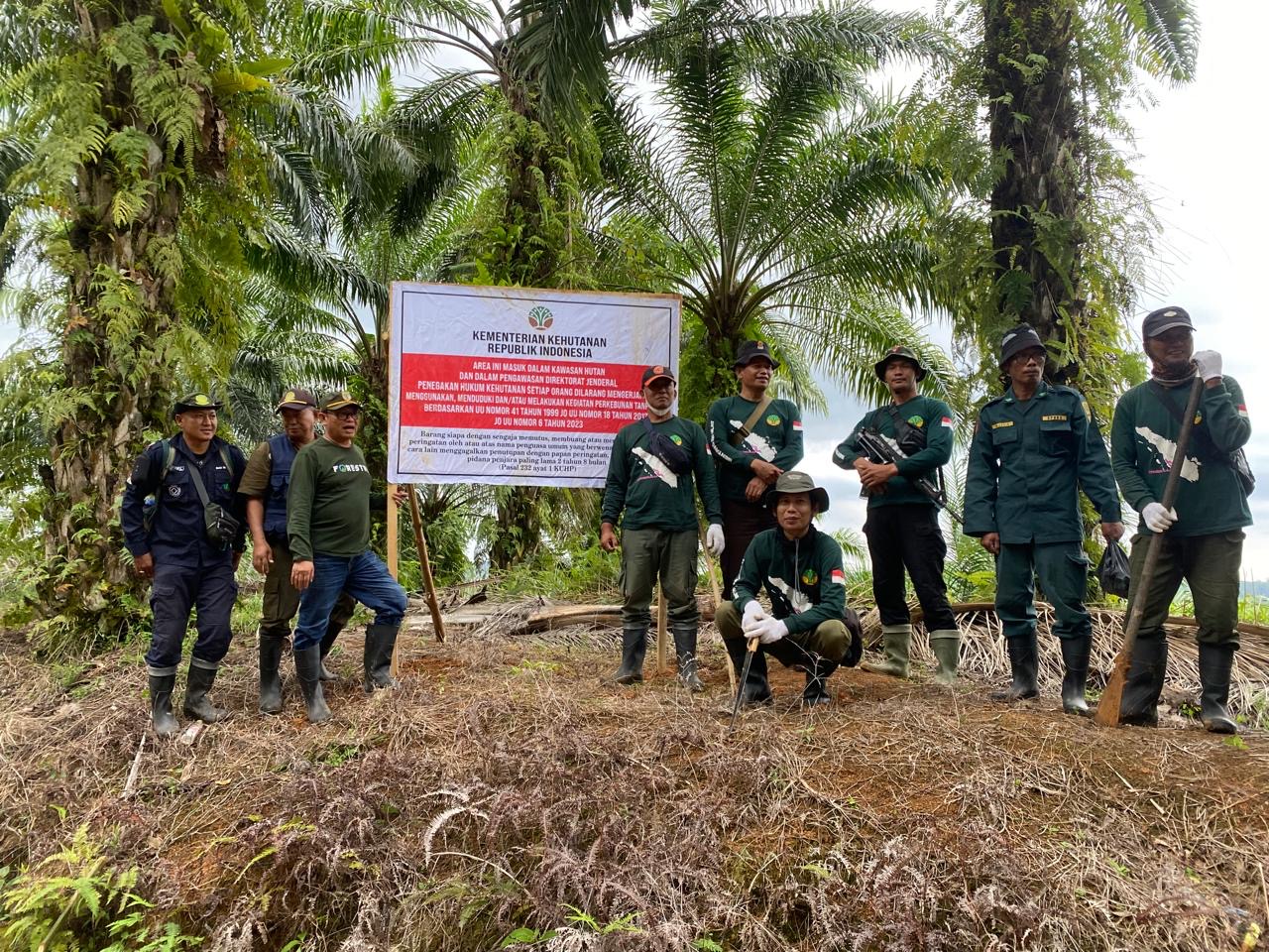 Suntik Mati 186 Sawit Ilegal, Operasi Merah Putih di Bentang Seblat Resmi Berakhir