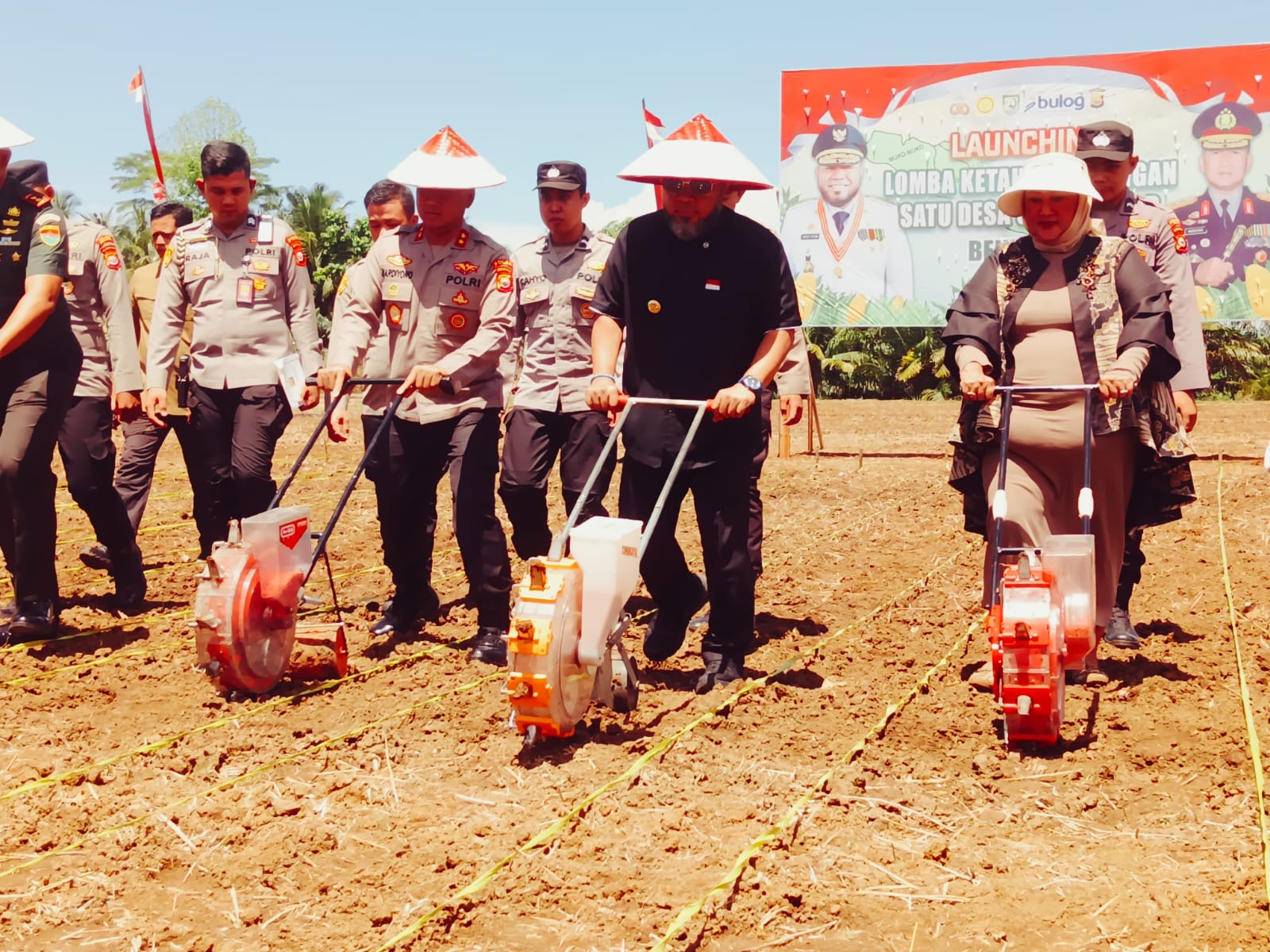 Program Satu Desa Satu Hektare Jagung Diluncurkan, 1.514 Desa di Bengkulu Wajib Sediakan Lahan 1 Hektare
