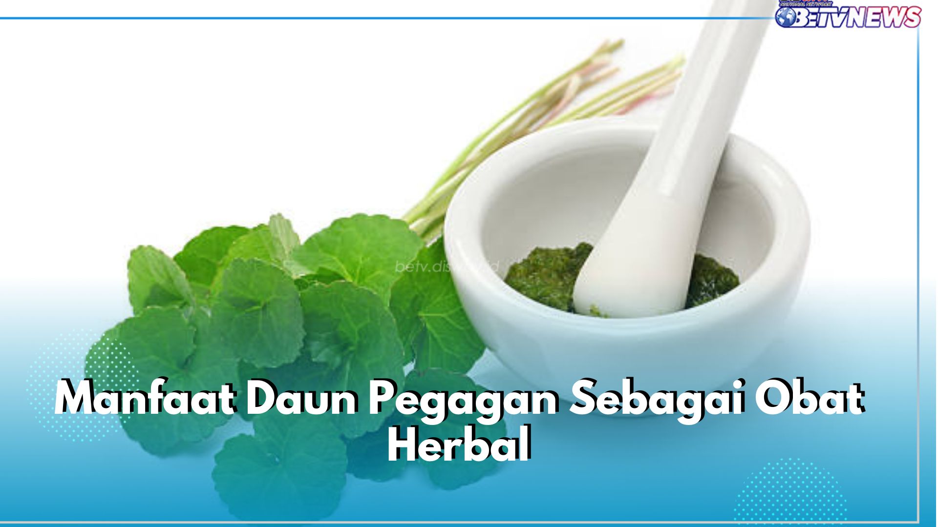 Dikenal sebagai TOGA, Ini 6 Manfaat Daun Pegagan untuk Obat Herbal, Ampuh Redakan Stres hingga Atasi Nyeri