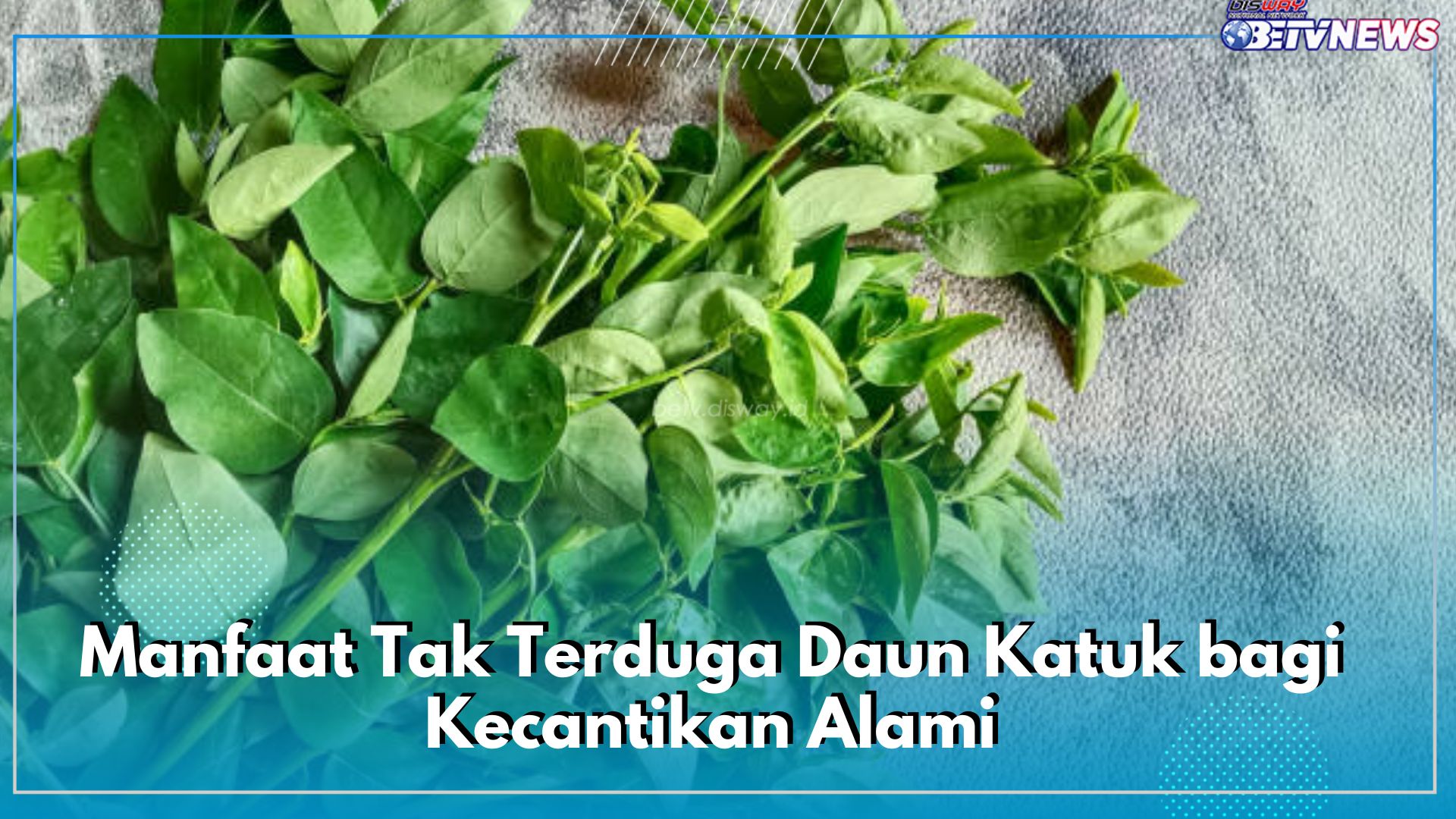 Bagus untuk Perawatan Kulit, Ini Dia Manfaat Tak Terduga Daun Katuk bagi Kecantikan Alami
