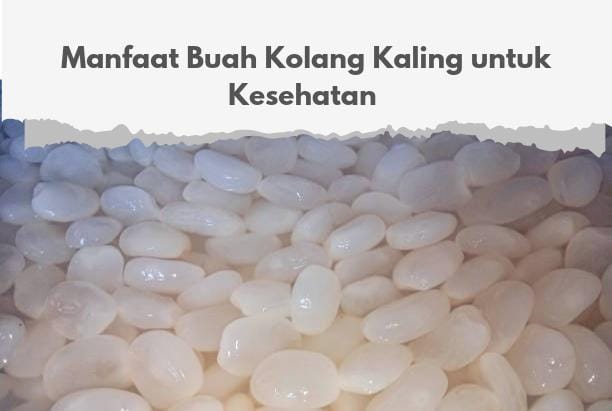 Sudah Banyak Digunakan Sebagai Takjil, Intip Manfaat Buah Kolang Kaling untuk Kesehatan Tubuh