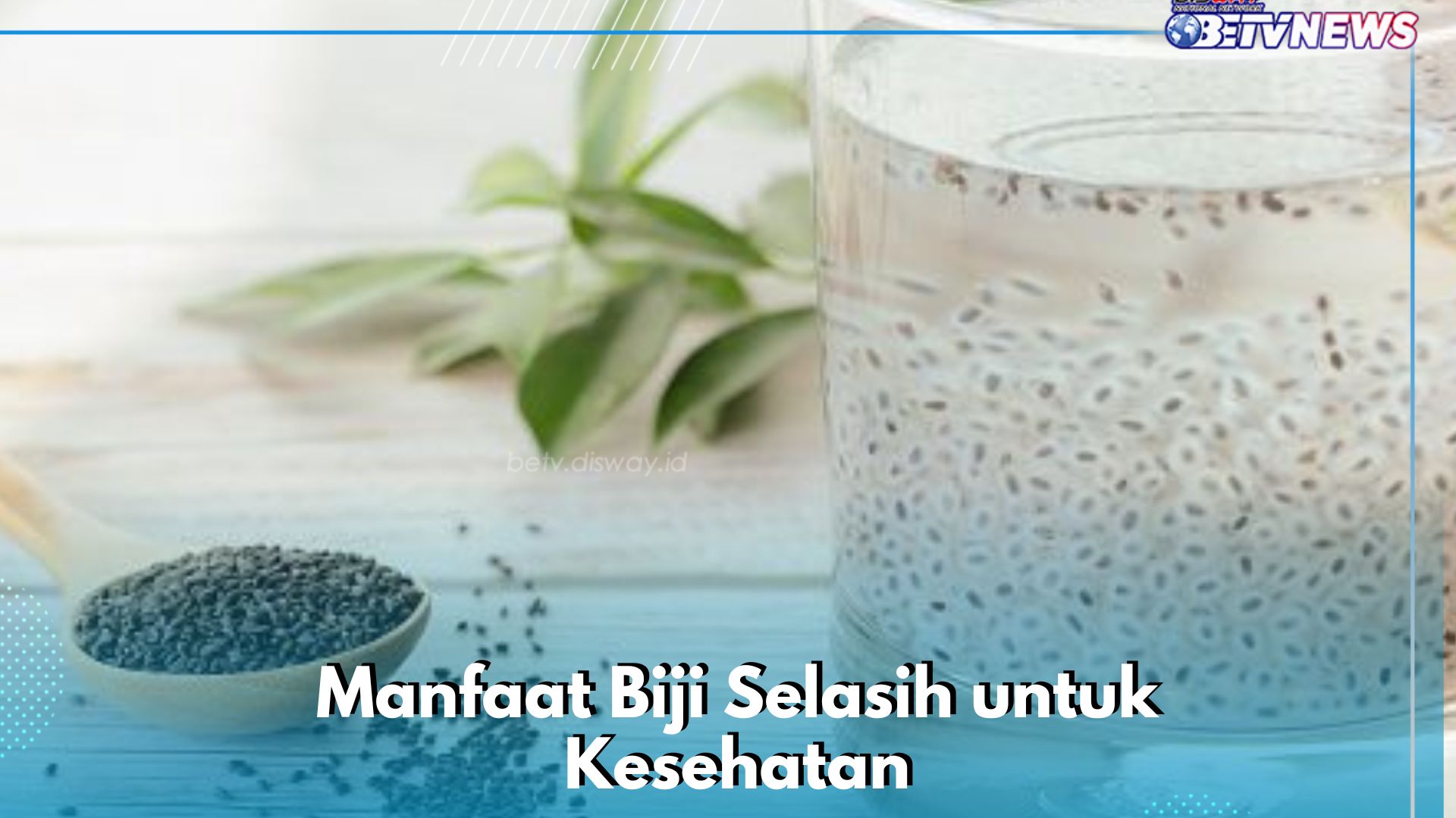 Manfaat Konsumsi Biji Selasih Sehari-hari, Baik untuk Daya Tahan Tubuh