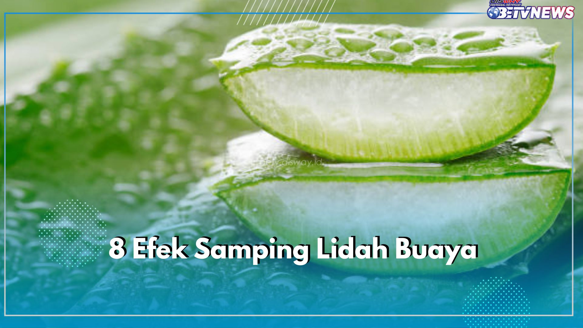 8 Efek Samping Lidah Buaya Ini Wajib untuk Kamu Ketahui, Bisa Memicu Alergi Sampai Keguguran