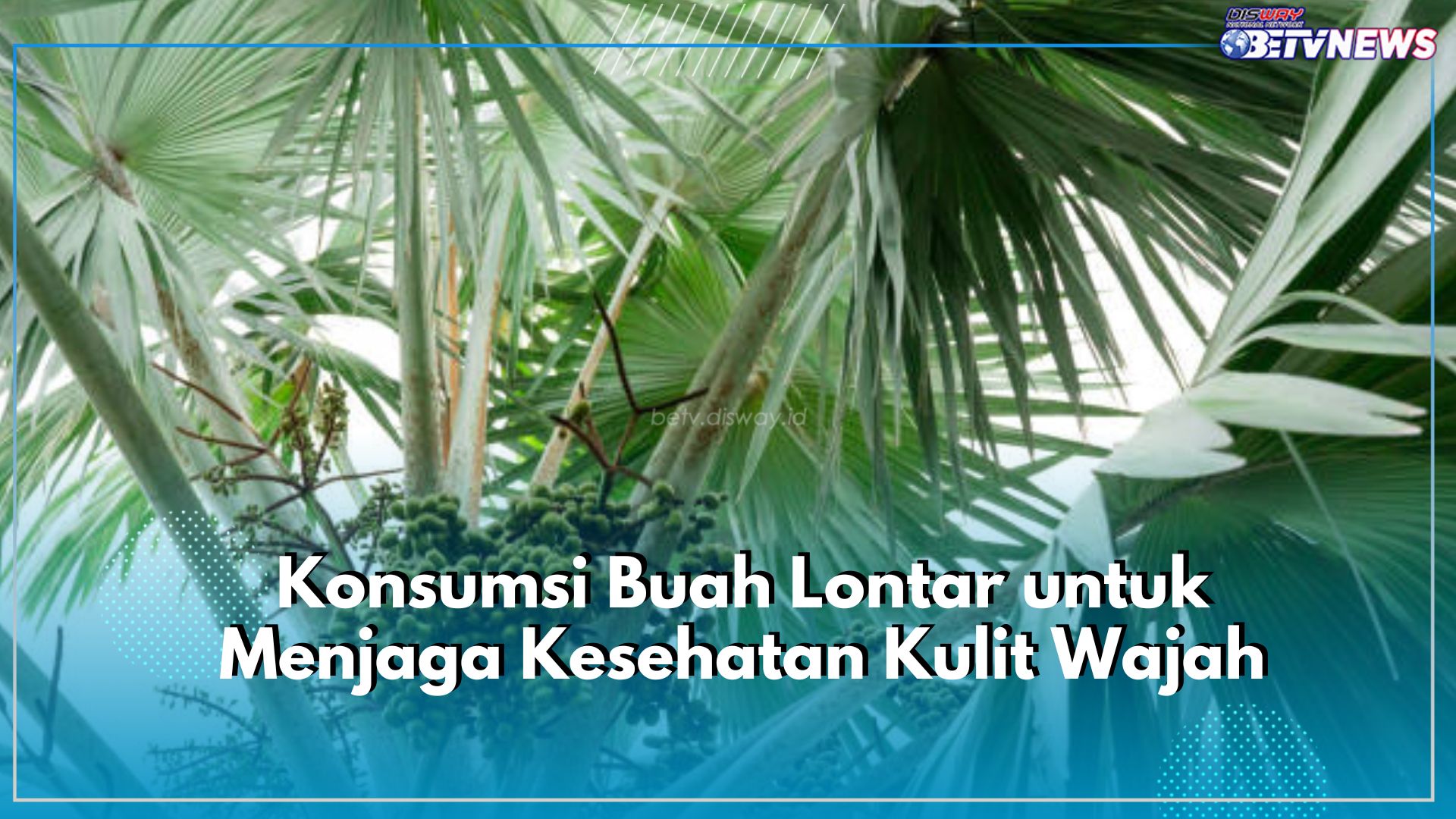 Jaga Kesehatan Kulit Wajah dengan Konsumsi Buah Lontar, Cek Lebih Lengkap Disini!